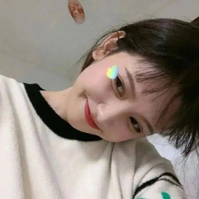 宠物打工记最新版下载
